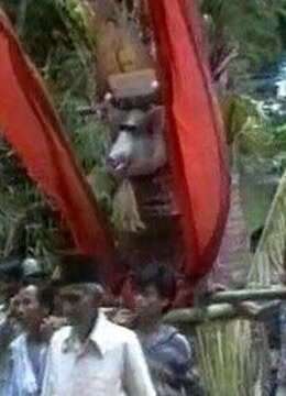 为死而生的托拉亚民族